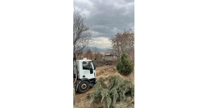 Kontrolden çıkan tır bariyerlere ve elektrik direğine çarparak tarlaya savruldu: 1 yaralı