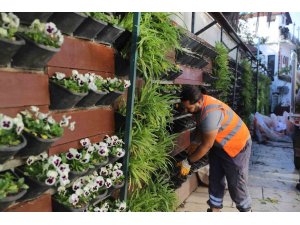 Antalya’da 4 milyon çiçek toprakla buluşuyor