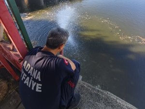 Kuraklık balıkları vurdu