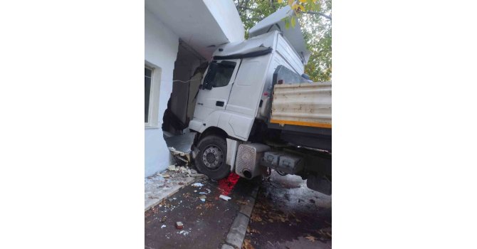 Freni boşalan tır, direk ve otomobile ardından fırına çarptı: 5 keçi telef oldu