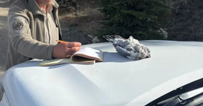 Burdur’da kaçak avcılar ekiplere yakalandı