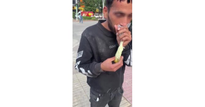 Caddede güpegündüz bali çekip kendinden geçti