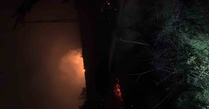 Hatay’da çıkan otluk yangını söndürüldü