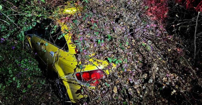 Sürücüsünün içinde olduğu otomobilin üzerine ağaç devrildi