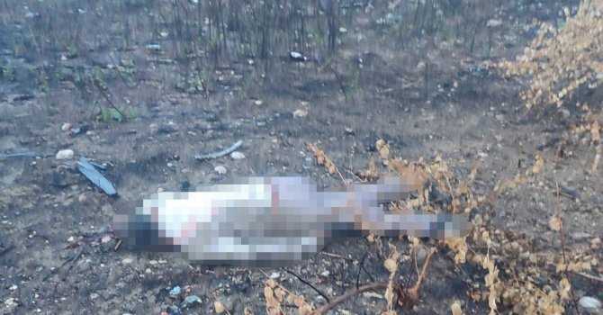 Mersin’de kaza yapan araç otoyolda, sürücüsü 30 metrelik köprünün altında ölü bulundu