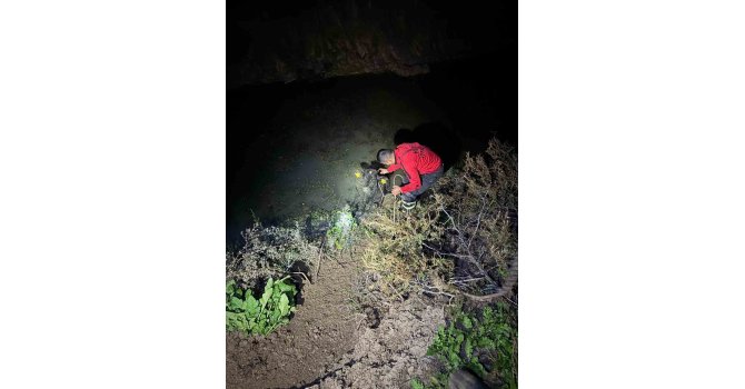 Su kanalına düşen buzağıyı itfaiye kurtardı