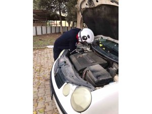 Üşüyen kedi, otomobilin motoruna girdi