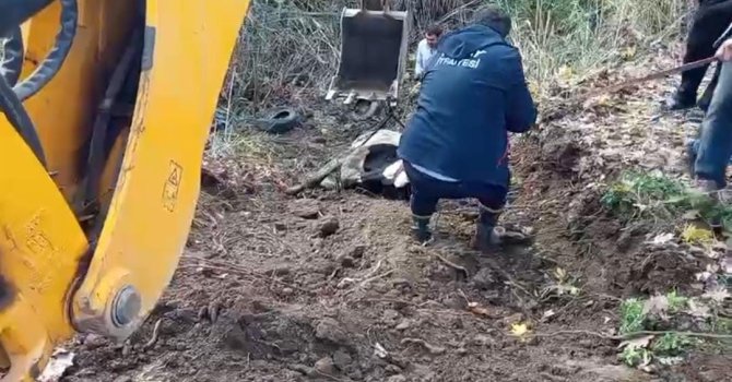 Hatay’da dereye düşen inek itfaiye ekipleri tarafından kurtarıldı