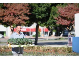 Konyaaltı’nda mevsimlik çiçek ekimi