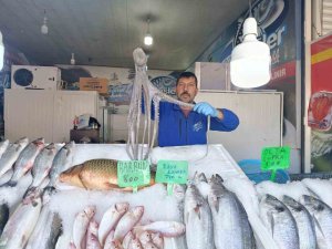Denize kıyısı olmayan Kahramanmaraş’ta balığa yoğun ilgi