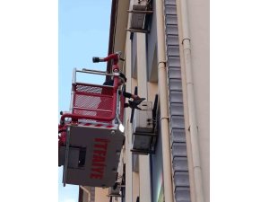 İskenderun’da klima motoruna dolaşan kuş kurtarıldı