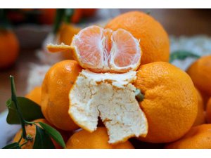 En ucuz meyve mandalina: Dalında 3, pazarda 5 lira