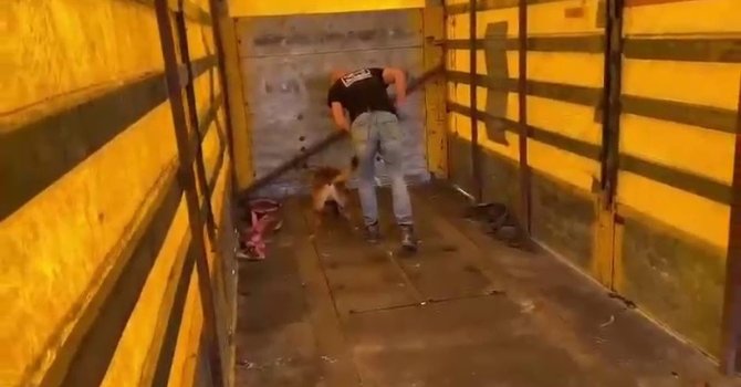 Tırın tabanına binlerce uyuşturucu hap sakladılar