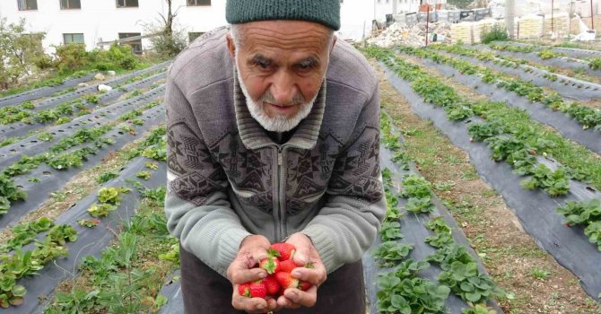 Türkiye onu yoldan geçenlere bahçesinden ikram ettiği meyvelerle tanıdı, bugün acı haber geldi