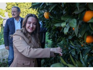 Başkan Vekili Özdemir: "Finike’nin ihtiyaçları doğrultusunda çalışmalarımızı yapıyoruz"