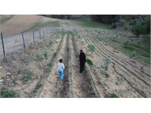 Osmaniye’de depremi yaşadı, toprağa tutundu