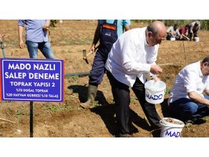 MADO’dan "Salep Manifestosu"