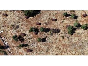 Sokak hayvanları sıcak yuvaya kavuştu