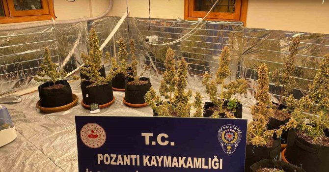 Villada uyuşturucu yetiştirmişler: Torbacı ’sevgililer’ yakalandı, 4 kilo uyuşturucu ele geçirildi