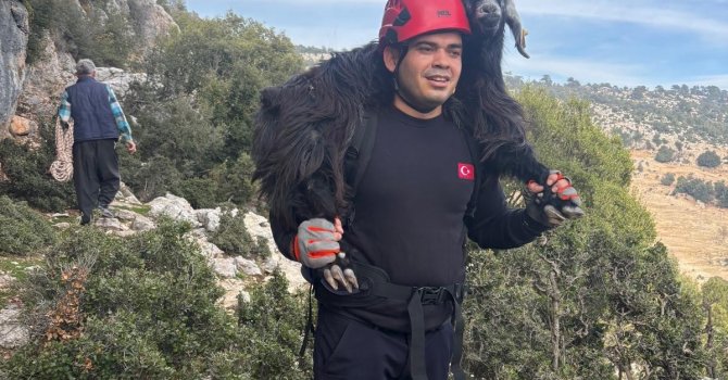 Mersin’de kayalıklarda mahsur kalan 2 keçi itfaiye ekiplerince kurtarıldı