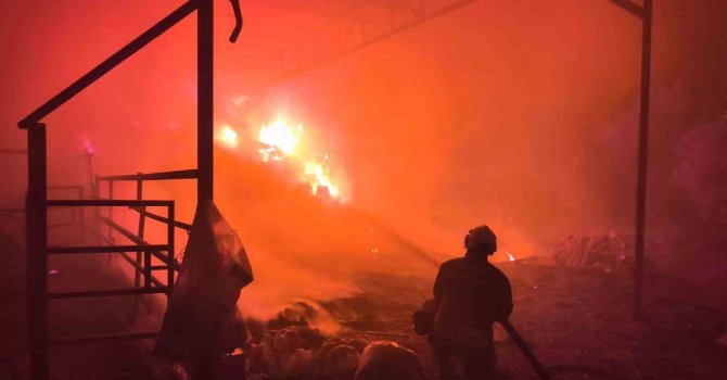 Samanlıktan yükselen alevler, besihaneye ulaşmadan kontrol altına alındı