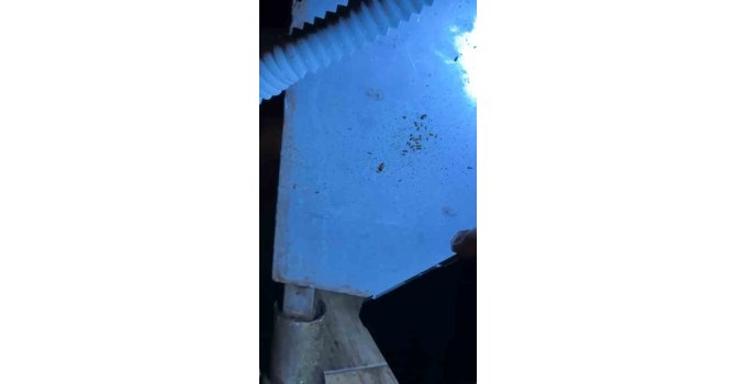 Alışveriş merkezindeki restoranlarda mide bulandıran görüntüler