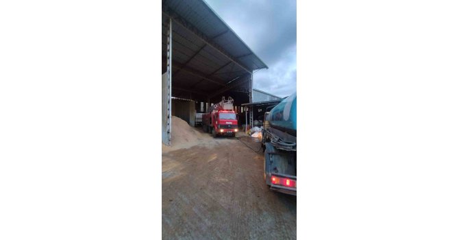 Alanya’da palet atölyesinde yangın büyümeden söndürüldü