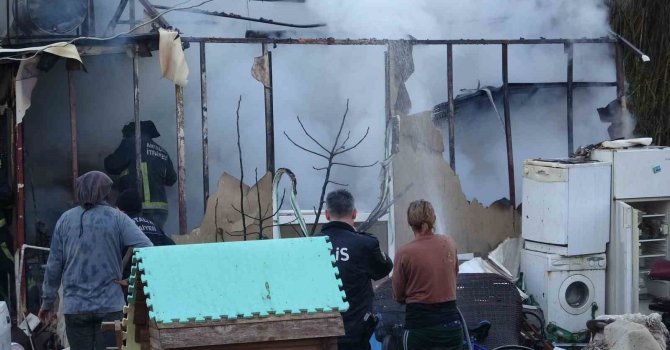 Antalya’da konteyner ev alevlere teslim oldu: 2 kedi telef oldu