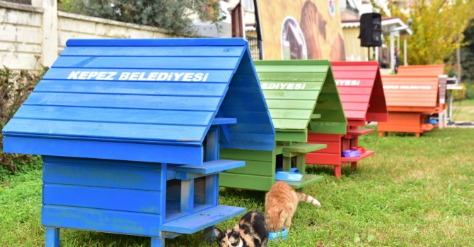 Kepez’in kedileri  EV’lendirildi