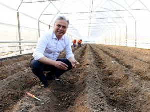 Deneme üretimi sonuç verdi