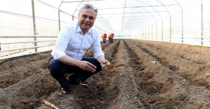 Deneme üretimi sonuç verdi