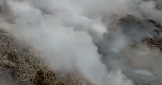 Adana’da samanlık yangını kontrol altına alındı