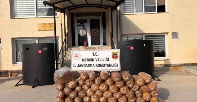 Mersin’de 335 kilo kaçak tütün ele geçirildi