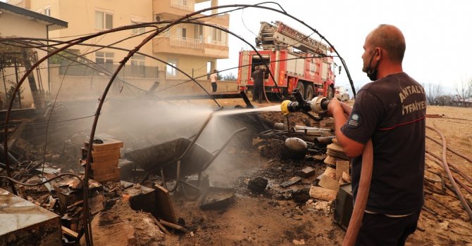 Büyükşehir 213 araç 481 personel ile yangın bölgesinde