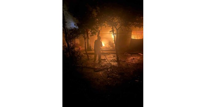 Alevlerin yükseldiği evde mahsur kalan kediyi itfaiye kurtardı