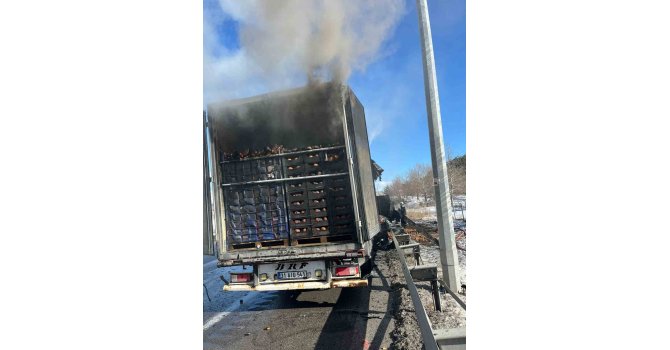 Adana-Pozantı Otoyolu’nda narenciye yüklü tır alevlere teslim oldu