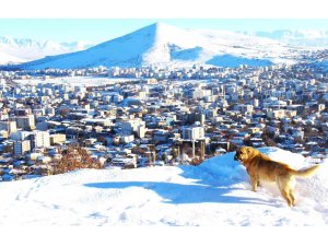 Afşin’de kar sonrası manzara hayran bıraktı