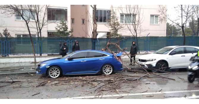 Isparta’da fırtına ağaçları devirdi, araçlar hasar gördü