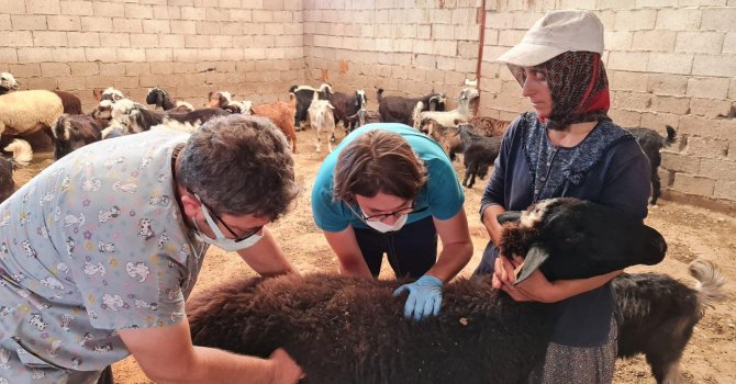 Yangın bölgesinde hiçbir canlı unutulmadı