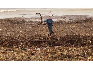 Sel sonrası deniz kahverengi oldu, sahiller odun doldu