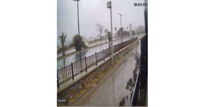 Kontrolden çıkan otomobil refüjdeki ağaca çarpıp takla attı