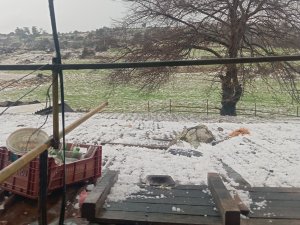 Mersin’de dolu: Ekili alanlar zarar gördü