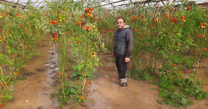 Kumluca’da hortum seraları parçaladı