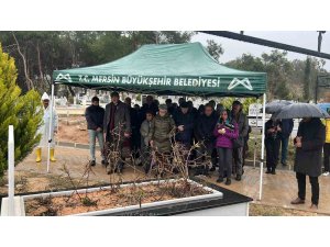 Mersin’de hayatını kaybeden keman sanatçısı Laçin Akyol, mezarı başında anıldı
