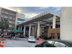 Hastane koridorlarında dolaşan köpek tedirgin etti