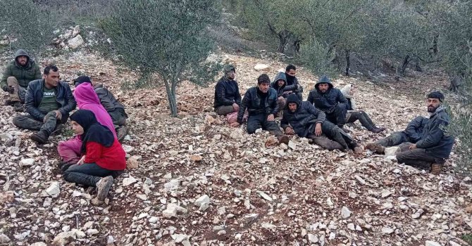 Hatay’da zeytinlik alanda 30 düzensiz göçmen yakalandı