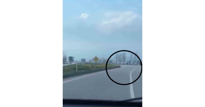 Akrobatik hareketler yapan motosiklet sürücüsü tarlaya uçtu