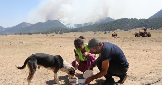 Büyükşehir ekipleri dayanışma ve yardım için seferber oluyor
