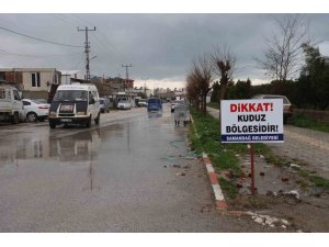 Hatay’da 4 mahalleye kuduz karantinası
