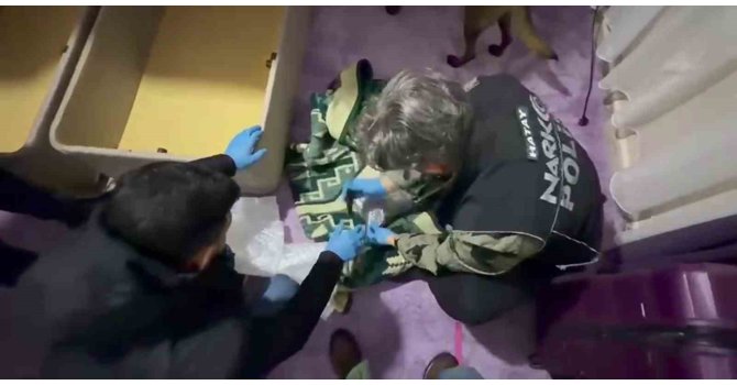 Battaniyeye zulalanan uyuşturucuyu narkotik köpeği buldu